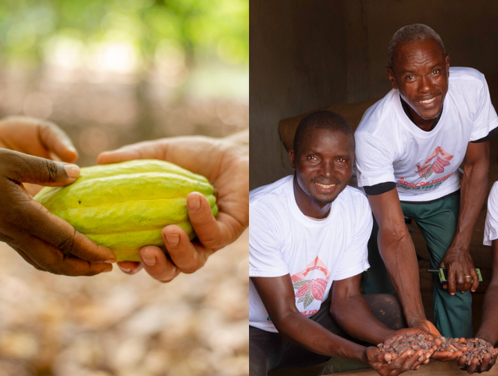 Domori-IvoryCoast-commitment-720x544