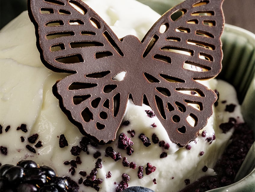 Domori-gelato-con-frutti-rossi-848x640px