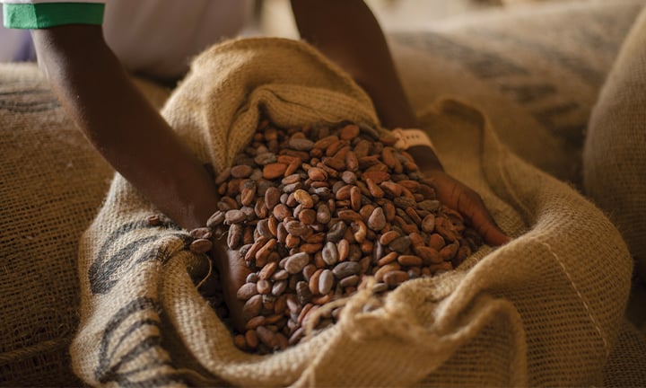 Domori-sacco-cacao-tostato-720x432px