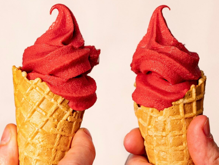 Ravifruit - Niege de sorbet