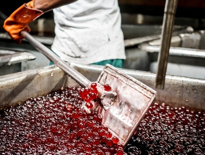 vasca di ciliegie in produzione Cesarin