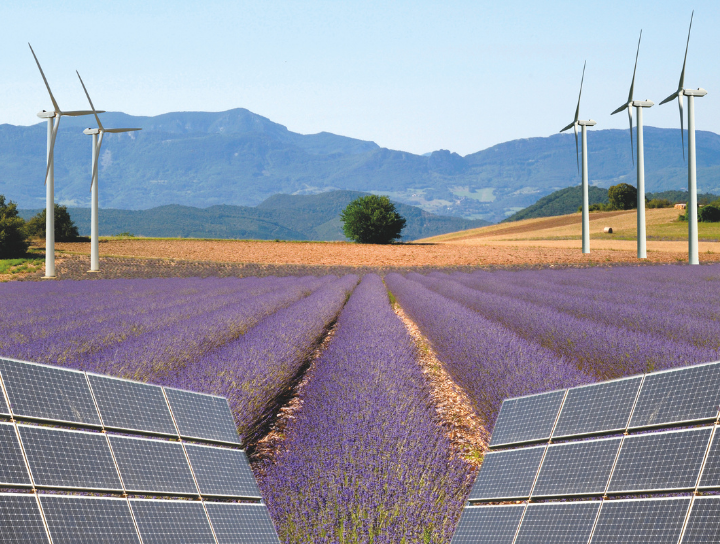 Our commitment - ravifruit