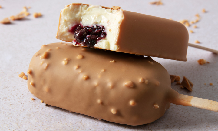 IRCA Group for food manufacurer of ice cream - fruit filling