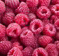 Raspberry - 
