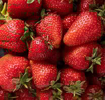 Strawberry - 