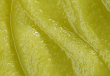 Ravifruit - Catalog 2025