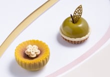 Dobla - Catalog 2026