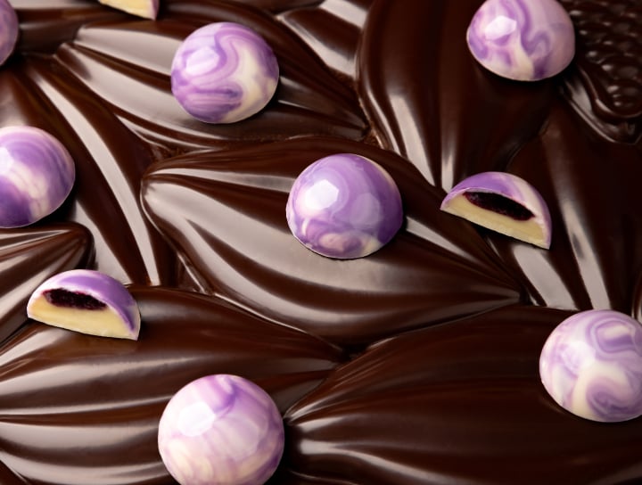 IRCA Since blueberry praline with chocolate