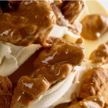 Joygelato joycream speculoos