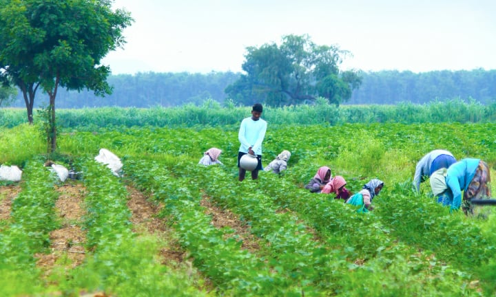 IRCA Since our commitment waste