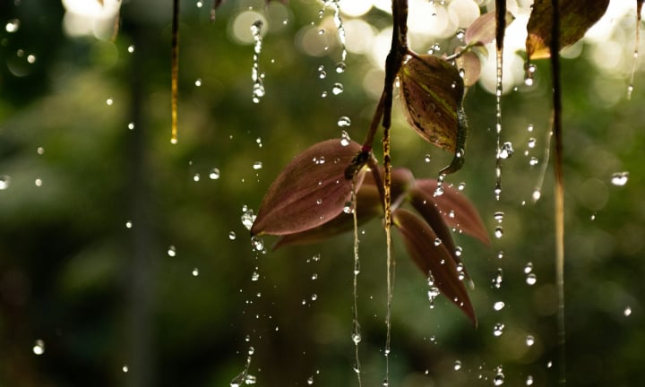 IRCA Since our commitment water