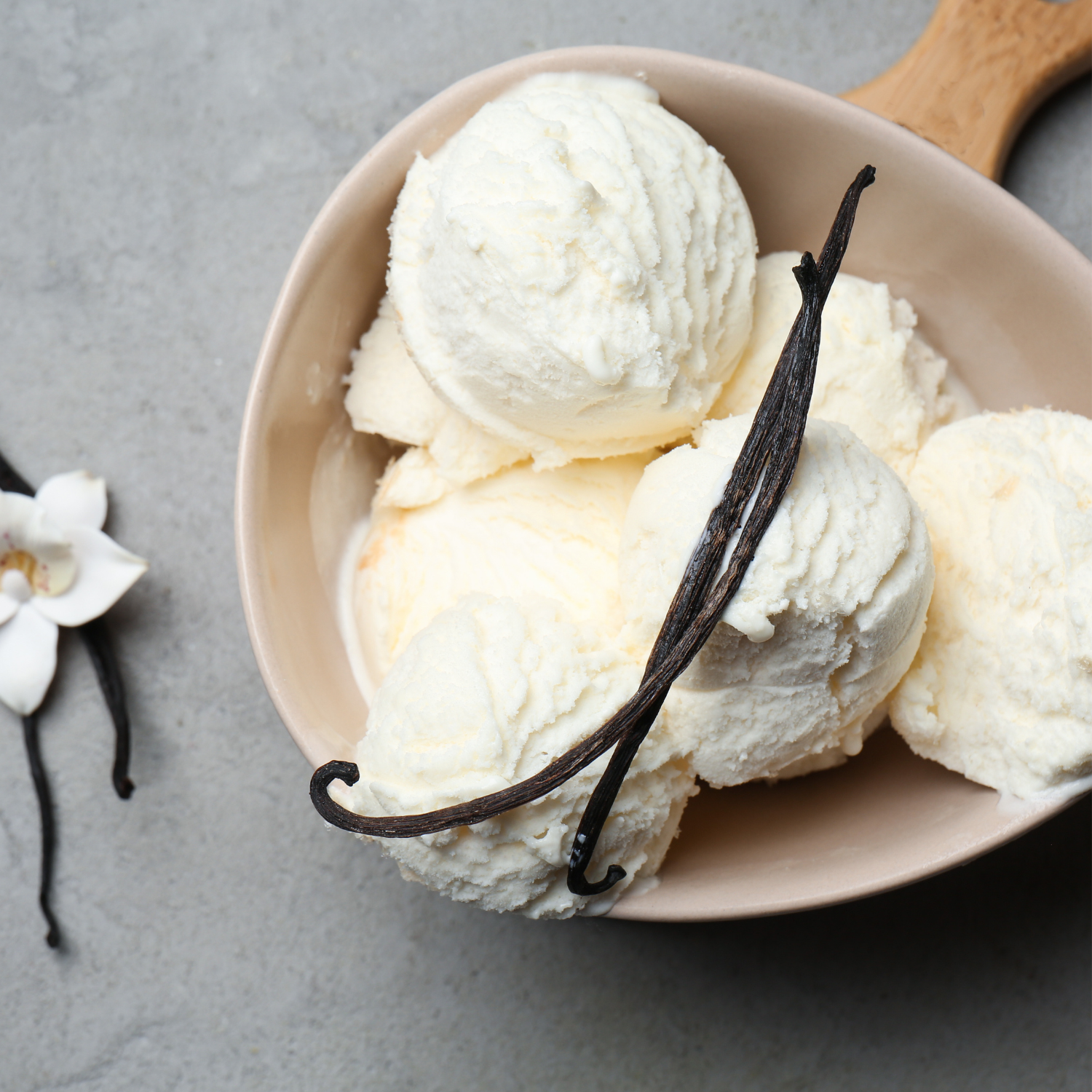 Joypaste Vaniglia Caribe