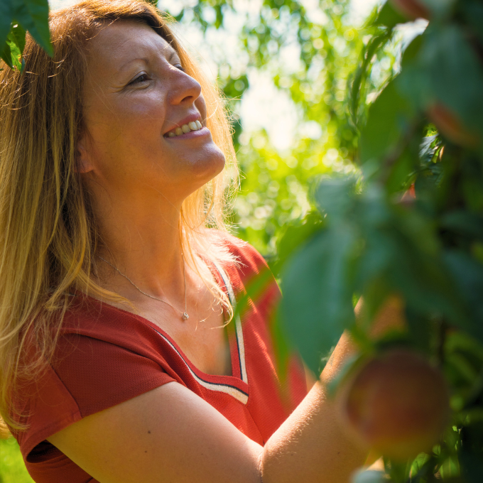 Ravifruit - Selection in the field
