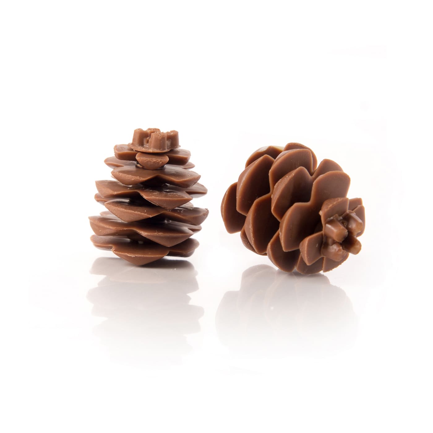 Pinecone 3D
