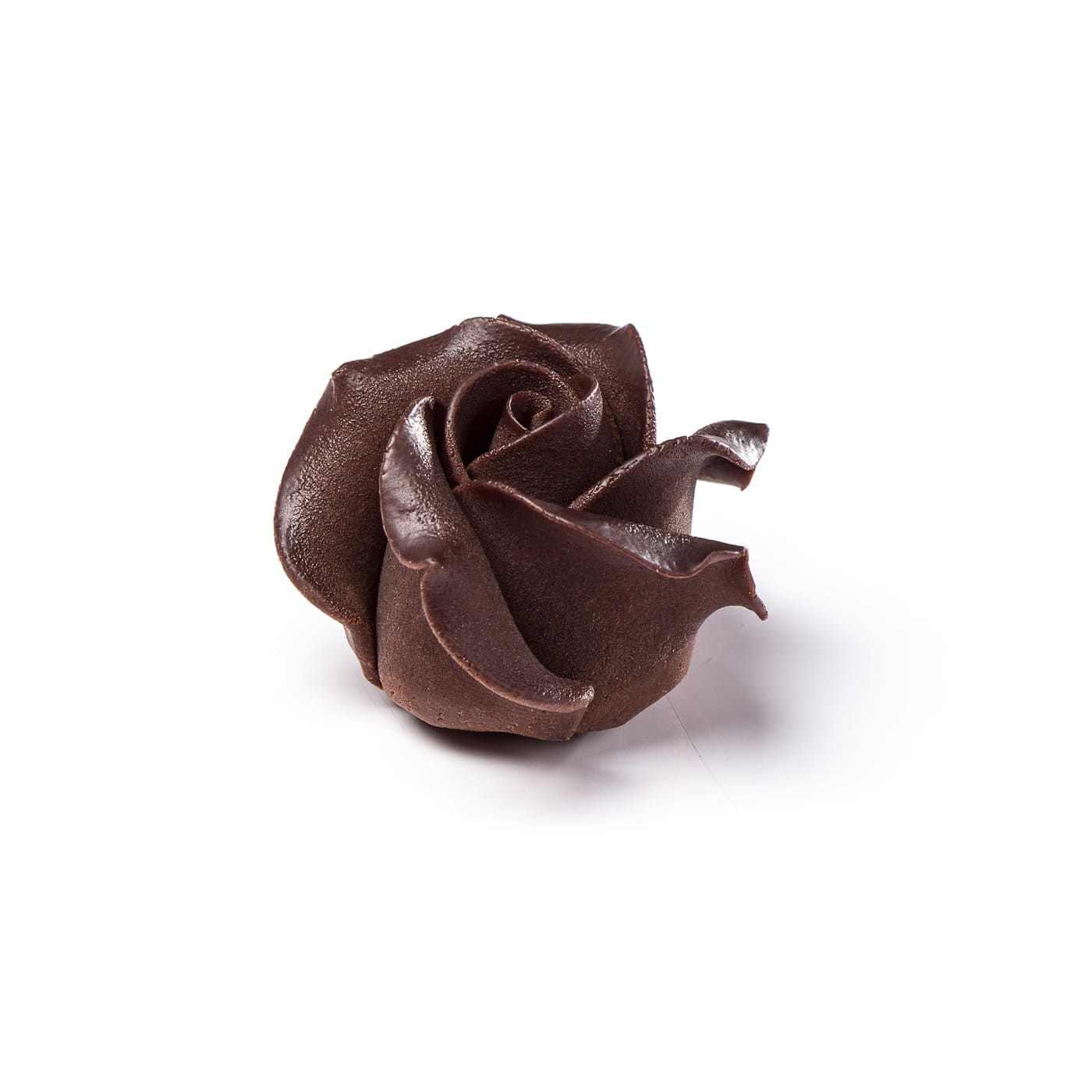 Chocolate rose dark
