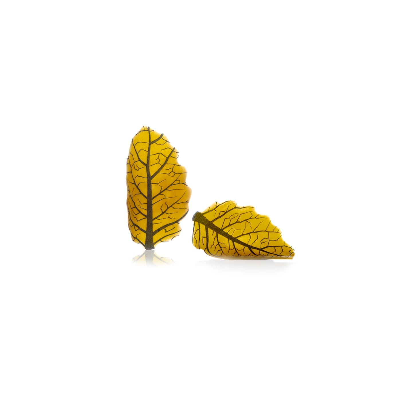 Curvy leaf yellow