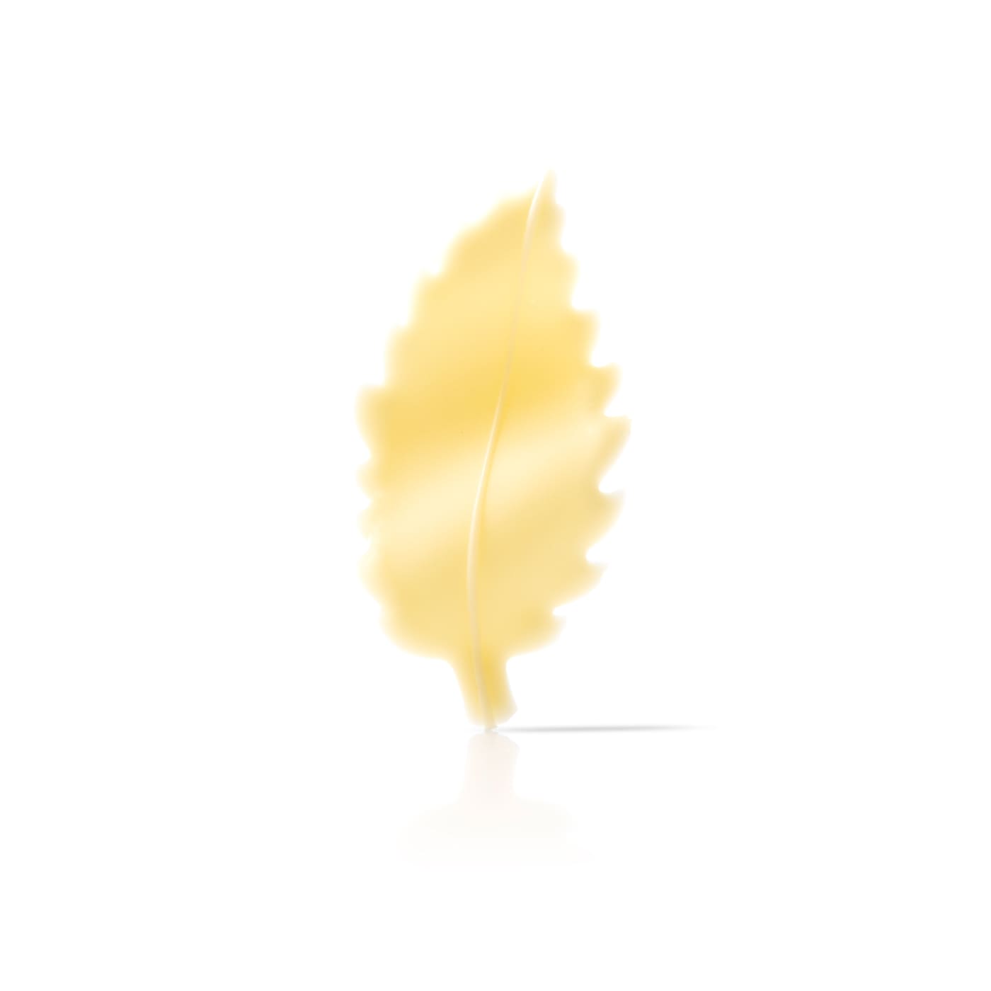 White chocolate leaf