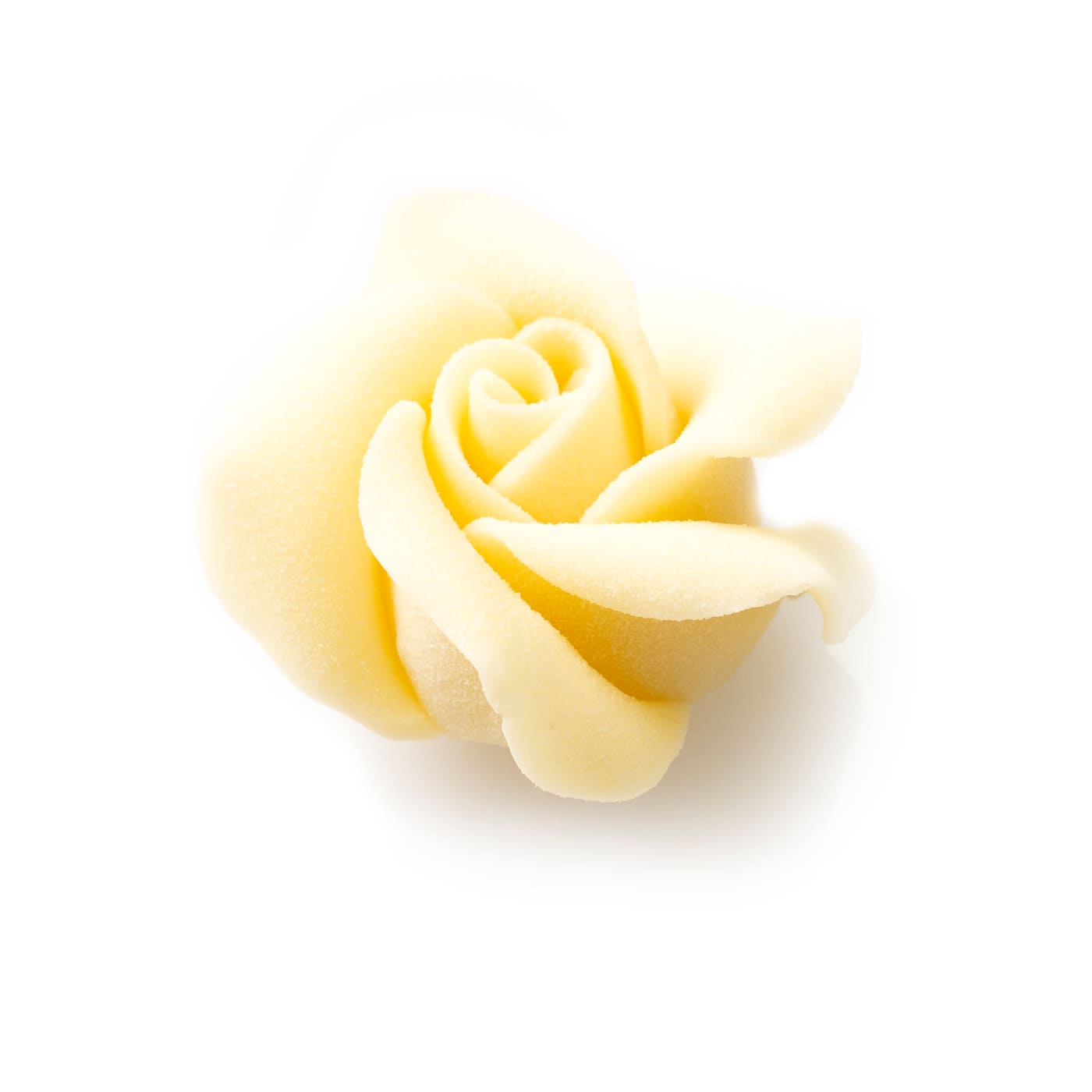 Chocolate rose white velvet