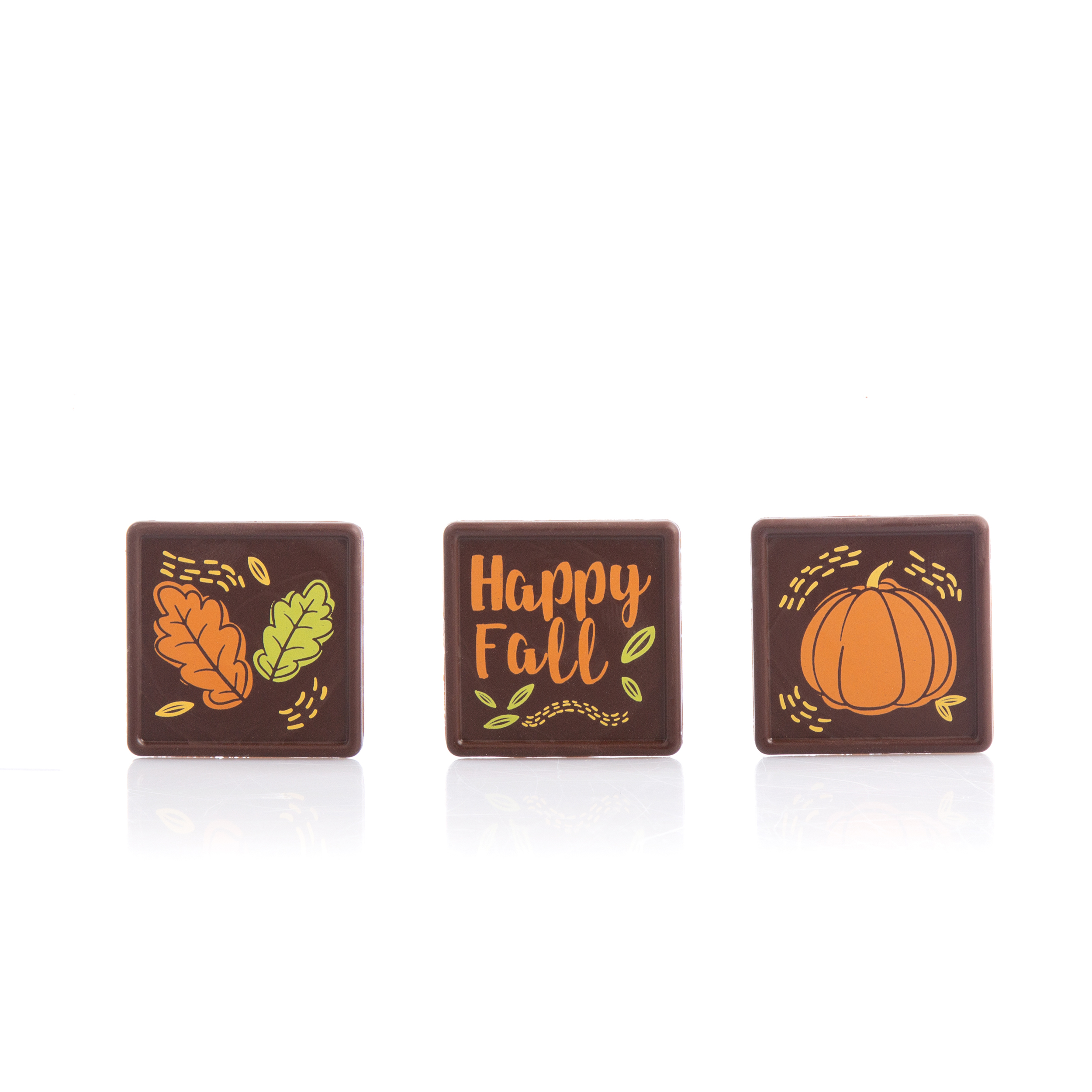 Fall leaves assortment dark