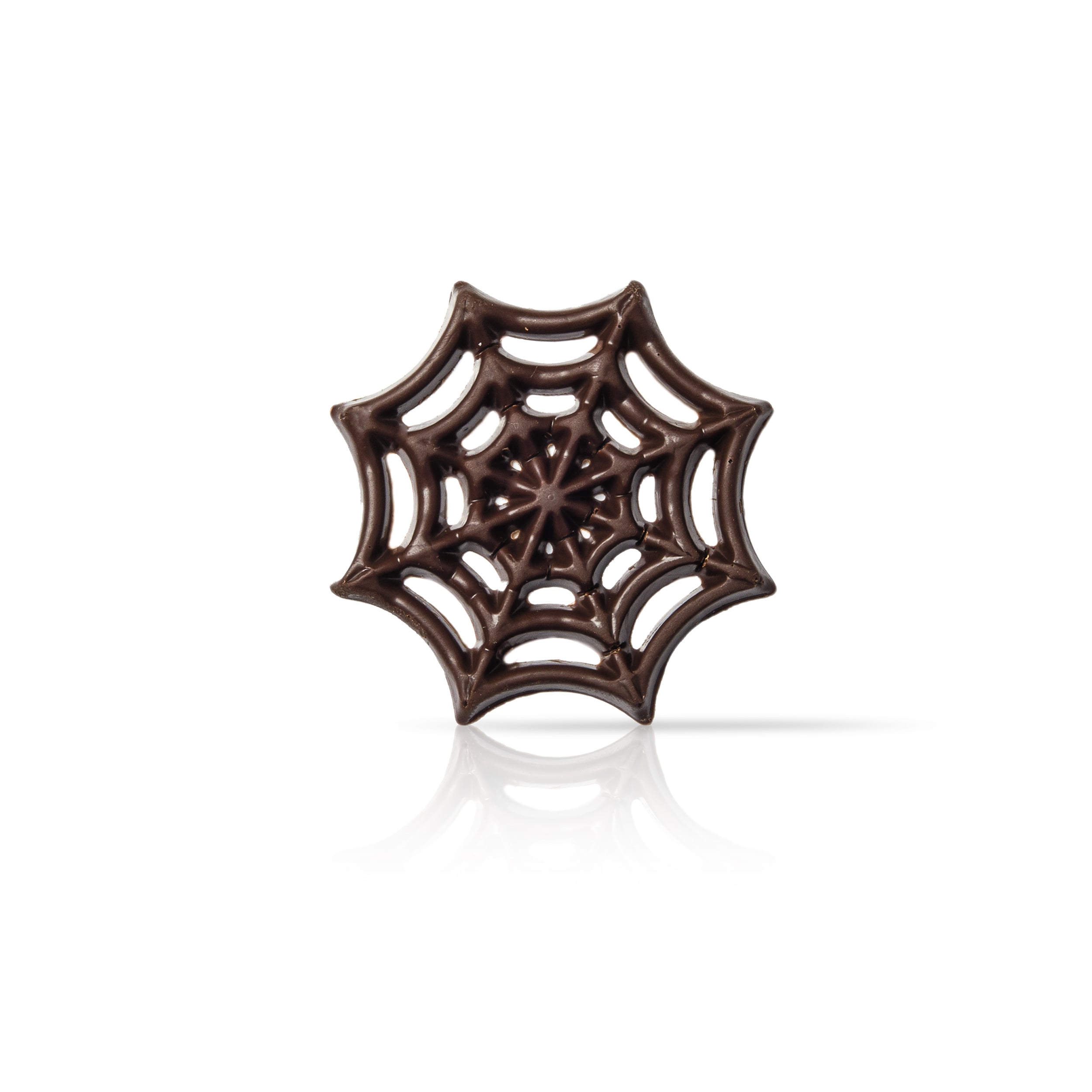 Spider Web