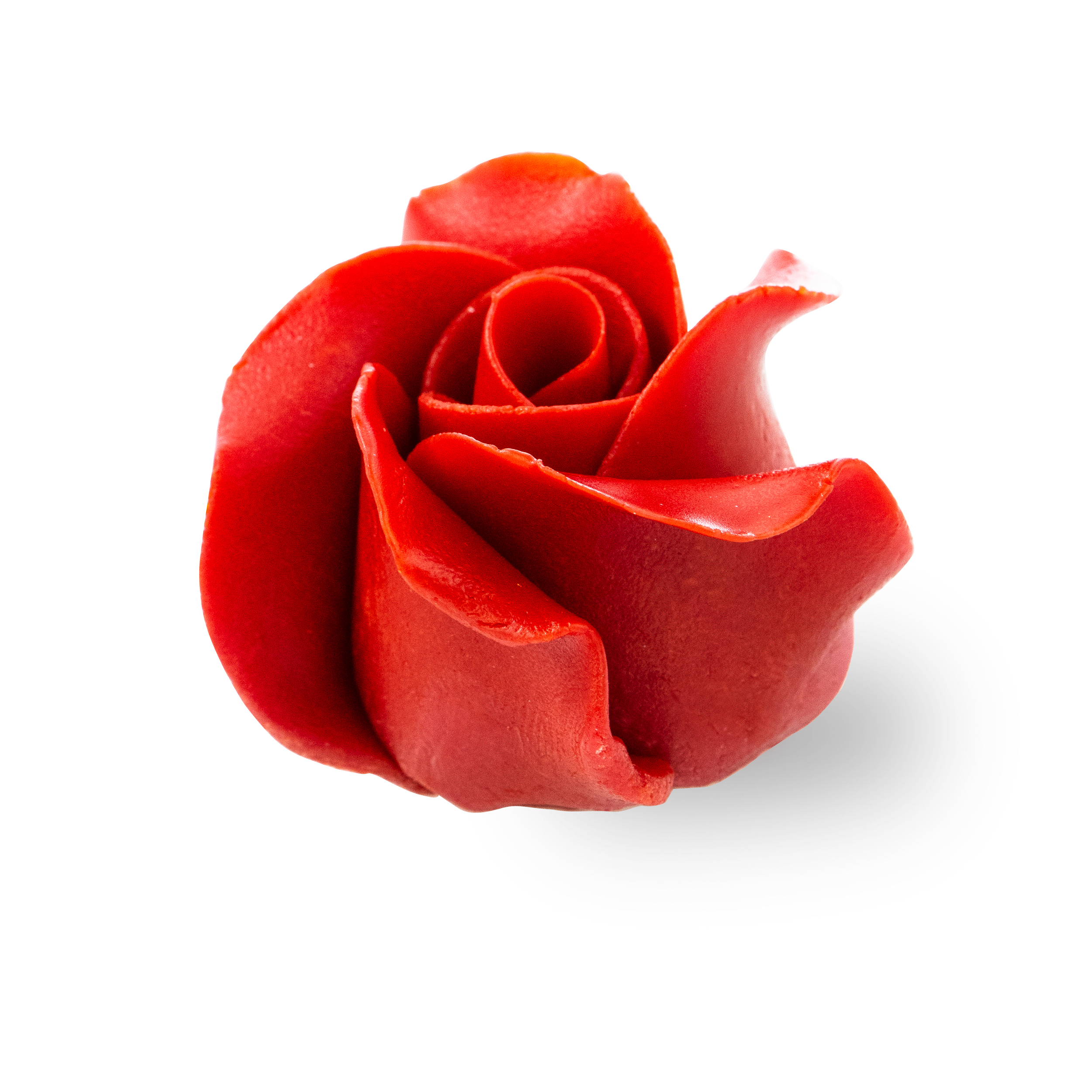 Chocolate rose red
