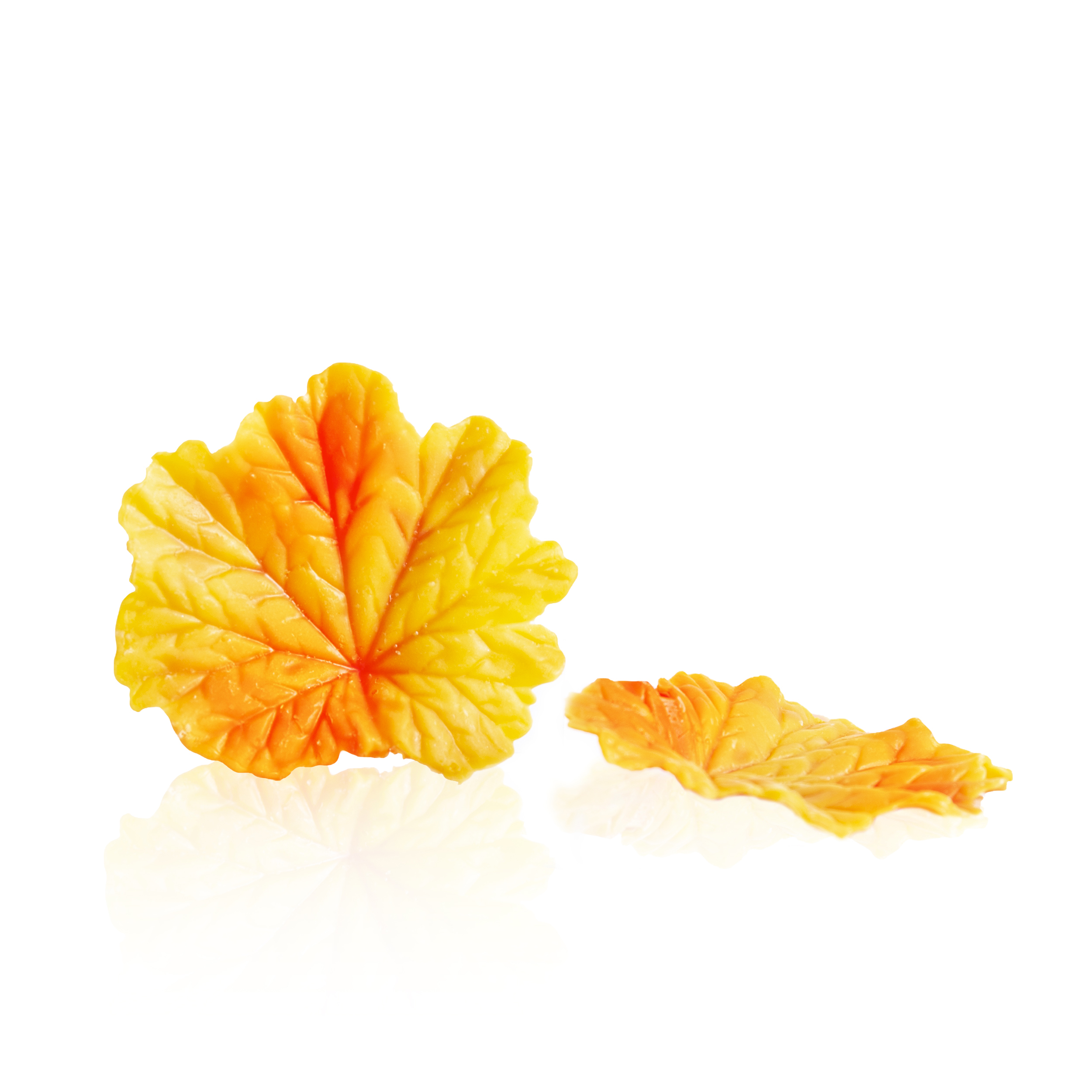Fall leaf yellow