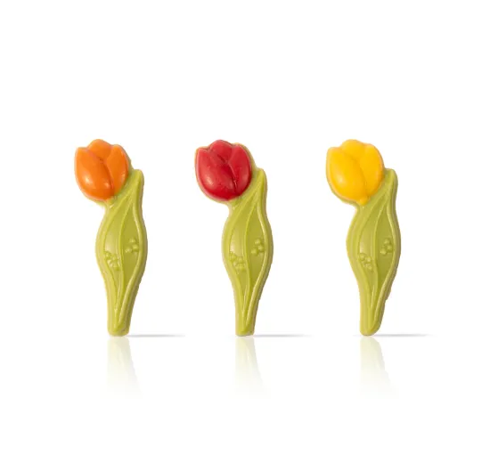 Tulip assortment FDA