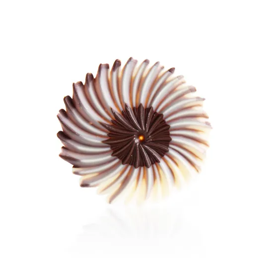 Rosette Dark & White