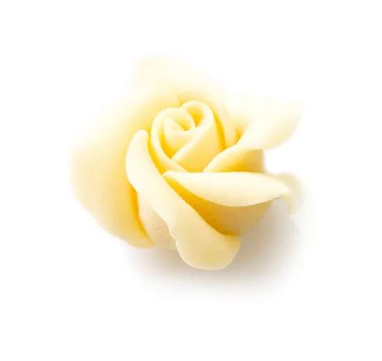 Chocolate rose white velvet