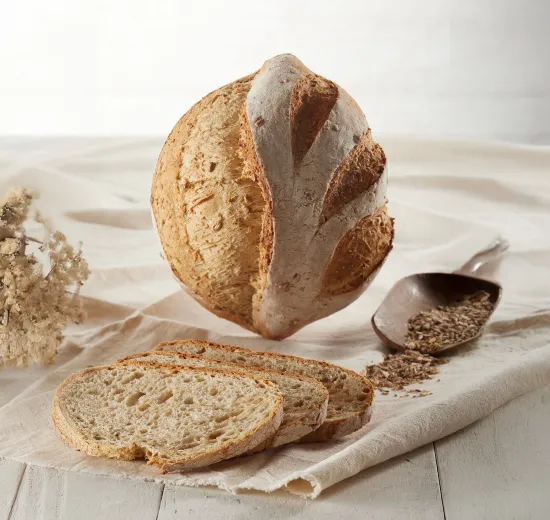 GRANDE MÉDITERRANÉE