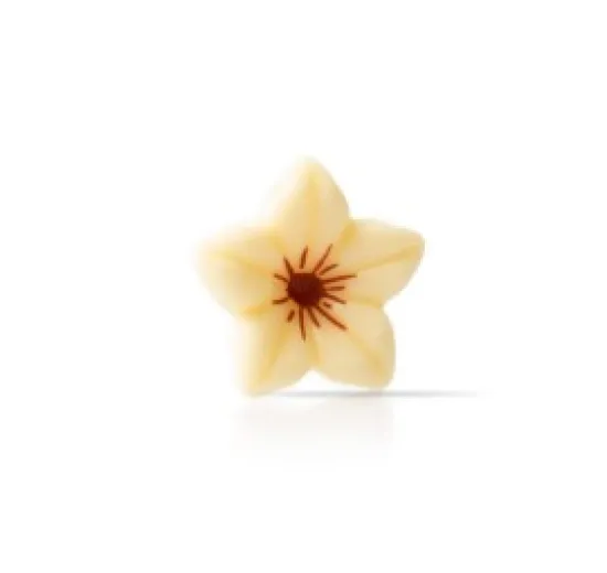 Flor Branca Nova