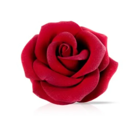 Rosa exclusiva de chocolate
