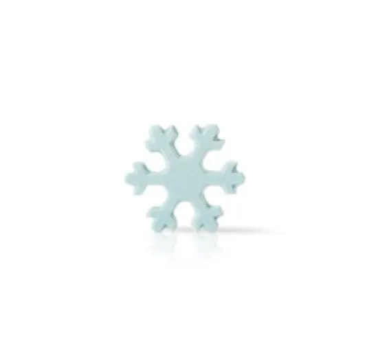 Floco de neve